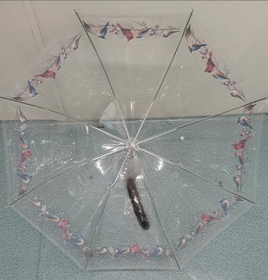 Il TUV chiaro POE aperto automatico scherza l'ombrello compatto 100cm