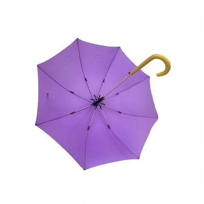 Customizabile Impermeabile Esterno Straight Umbrella Con Pongee tessuto E colore personalizzato corrispondente Fibra di vetro costole Design