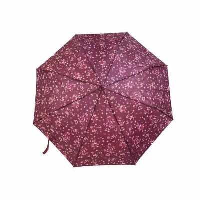 Cassa portatile portatile portatile inclusa