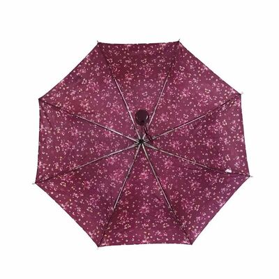 Cassa portatile portatile portatile inclusa