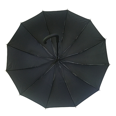 Diametro 105cm un ombrello aperto automatico di 12 costole con rivestimento UV