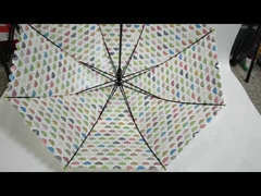 Ombrello per bambini POE trasparente ad apertura automatica di fabbrica OEM