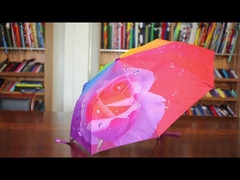 Ombrello da golf compatto automatico grande, doppio strato, manico in EVA, design personalizzato