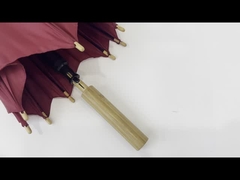 Ombrello di promozione